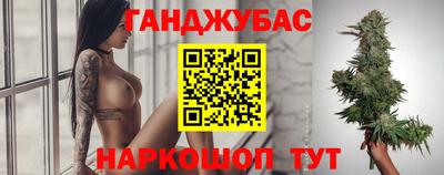 сатива Камышлов