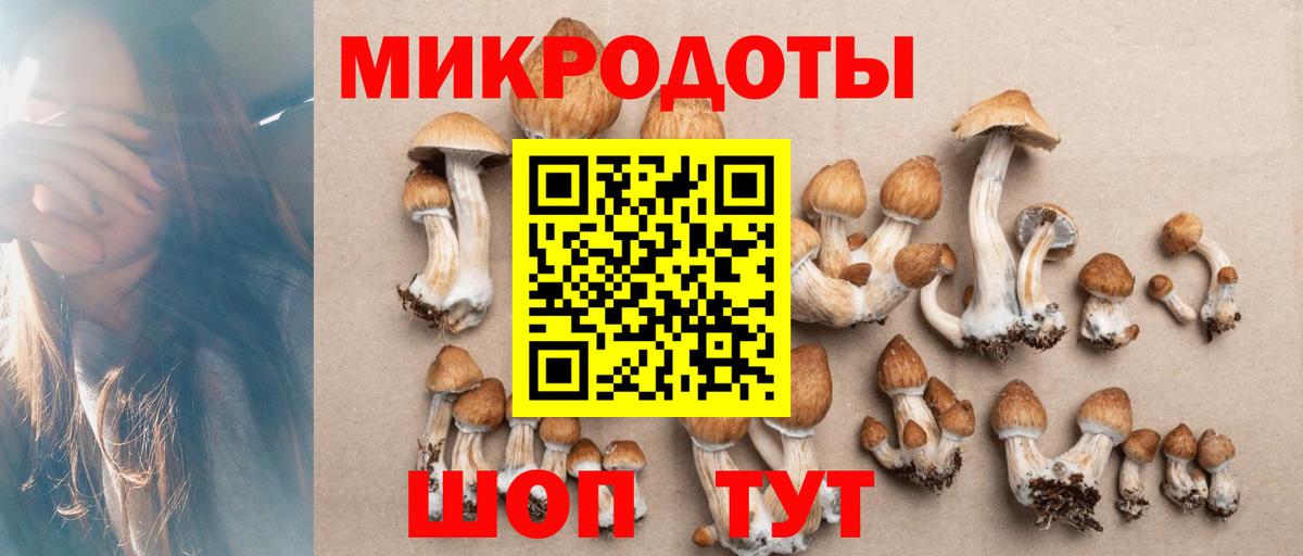 Кулебаки  Псилоцибиновые грибы Cubensis  Вход с VPN 
